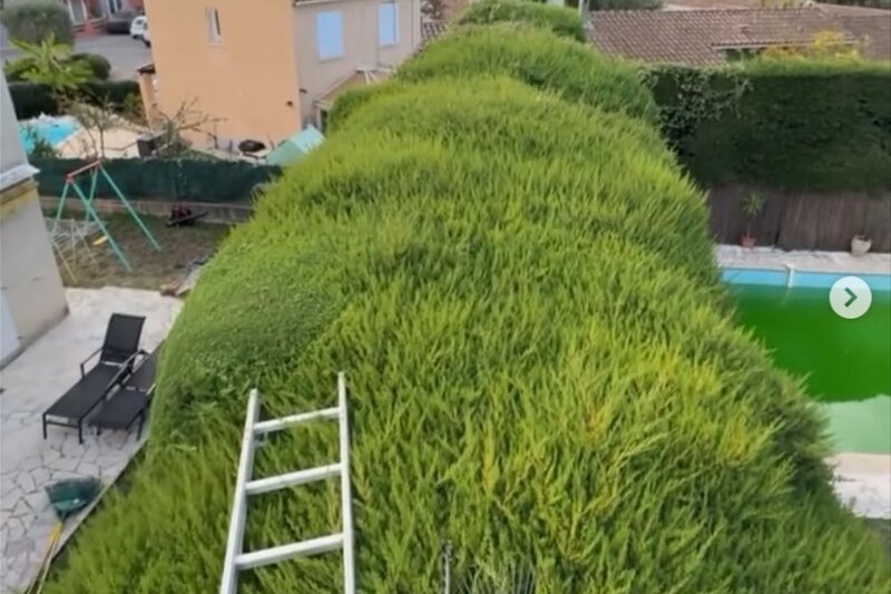 Allée de jardin bordée de massifs bien entretenus